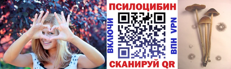 Купить закладки  Балахна  Галлюциногенные грибы мухоморы 